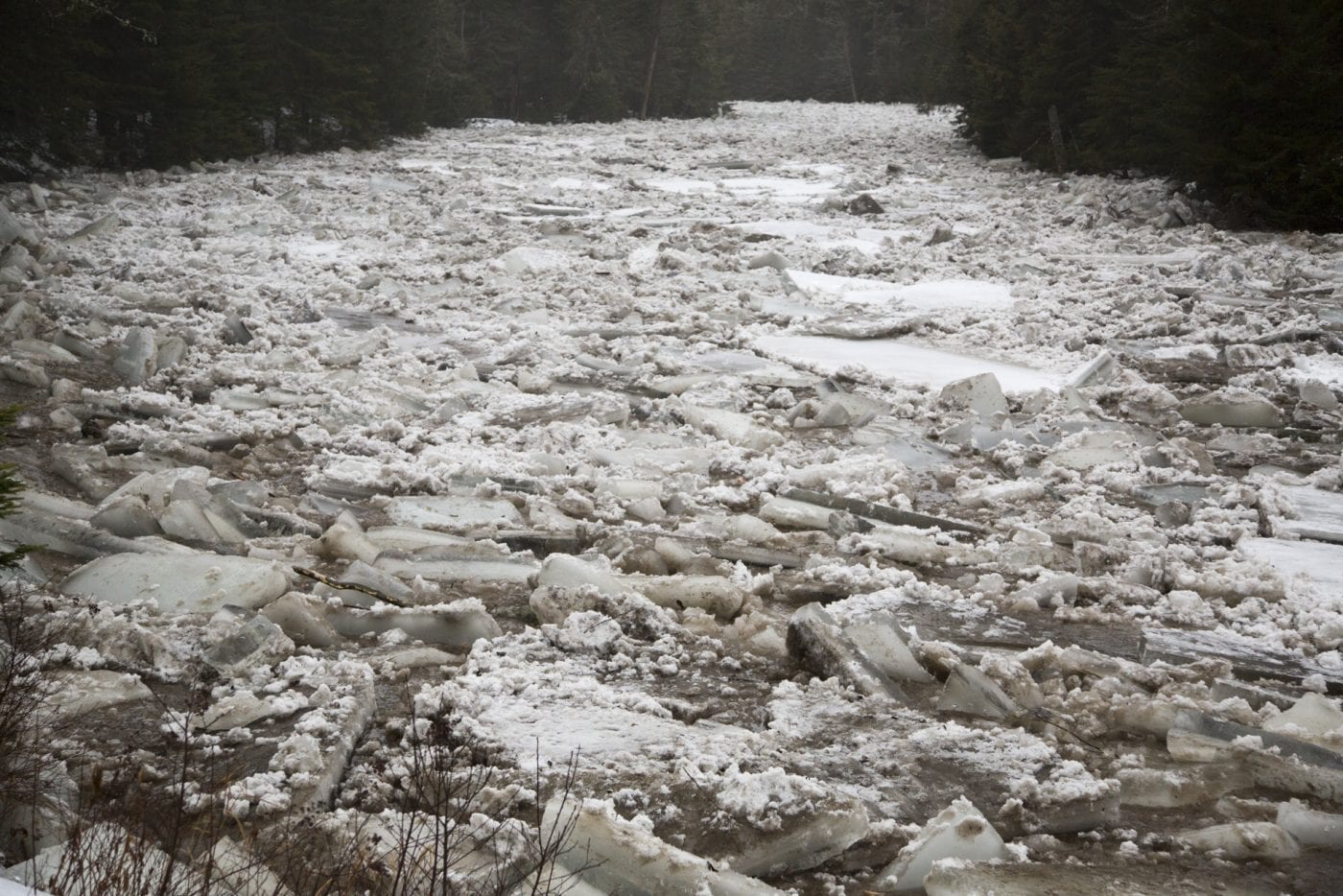 Ausable River Ice Jam