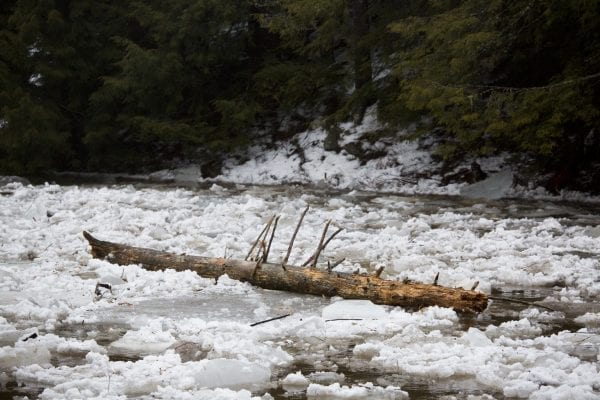 Ausable River Ice Jam