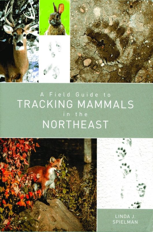 A Field Guide to Tracking Mammals in the Northeast