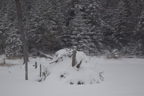 Old Mountain Road is part of the Jackrabbit Ski Trail. It runs from Mountain Lane in Lake Placid to Alstead Hill Road in Keene, making for a scenic ski in the winter months. Photo by Mike Lynch