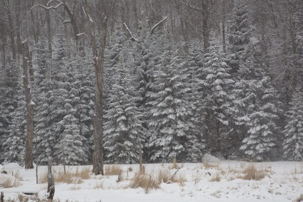 Old Mountain Road is part of the Jackrabbit Ski Trail. It runs from Mountain Lane in Lake Placid to Alstead Hill Road in Keene, making for a scenic ski in the winter months. Photo by Mike Lynch