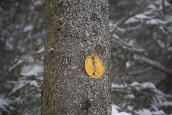 Old Mountain Road is part of the Jackrabbit Ski Trail. It runs from Mountain Lane in Lake Placid to Alstead Hill Road in Keene, making for a scenic ski in the winter months. Photo by Mike Lynch