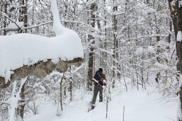 Coney Mountain is a popular hiking destination near Tupper Lake, but it can also be skied in the winter when there is a deep snowpack.