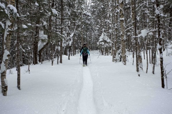 A skip trip to Goodman Mountain near Tupper Lake after several feet of snow had fallen. The deep snow made it possible to ski this hiking trail that is part of the Tupper Lake Triad.