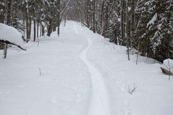 A skip trip to Goodman Mountain near Tupper Lake after several feet of snow had fallen. The deep snow made it possible to ski this hiking trail that is part of the Tupper Lake Triad.