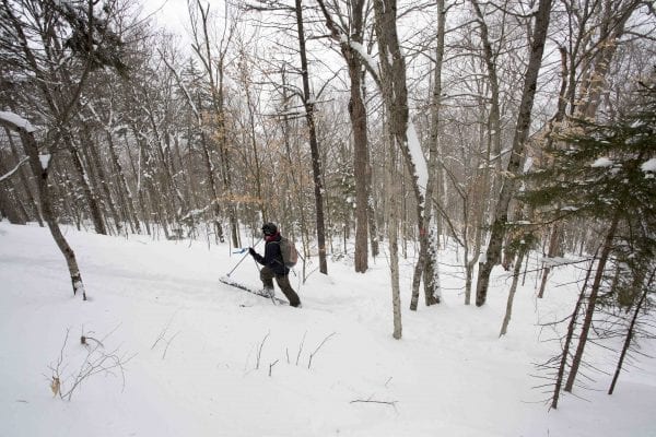 A skip trip to Goodman Mountain near Tupper Lake after several feet of snow had fallen. The deep snow made it possible to ski this hiking trail that is part of the Tupper Lake Triad. Photo by Phil Brown
