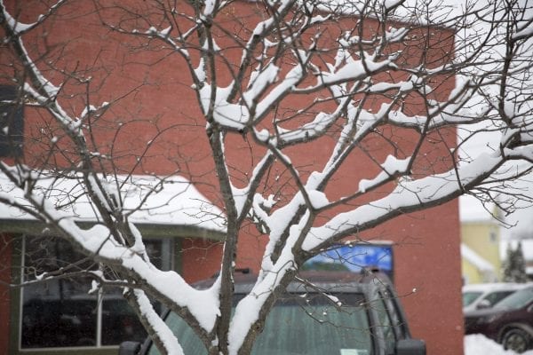Snowy Saranac