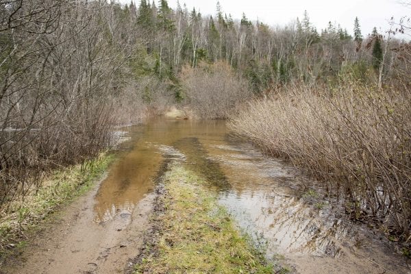High waters on the Saranac River on May 3. This is at the Moose Pond Trail bridge.