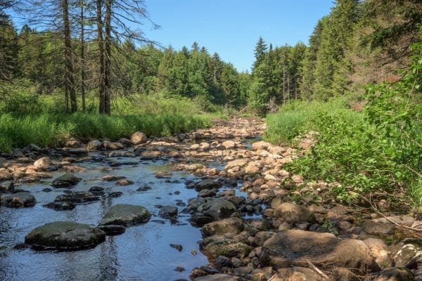 OSI protects 4,000 acres in southern Adirondacks