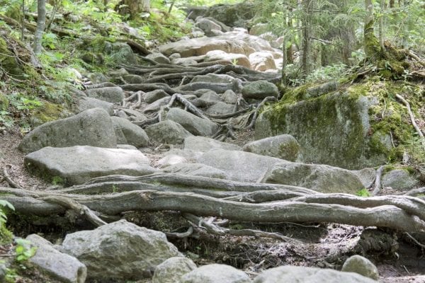 Rocks on the trail to Algqonquin Peak. Rocks like these require a lot of snowpack to be covered.