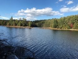 Tub Mill Pond