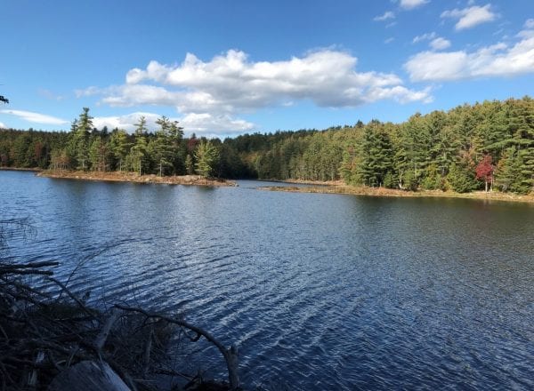 Tub Mill Pond