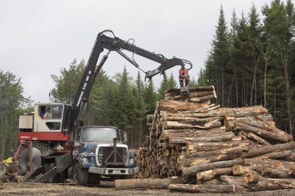 The Adirondack Explorer toured part of the Santa Clara Tract in the northern Adirondacks with the Molpus Woodlands Tract in early August. Above are photos from that trip.
