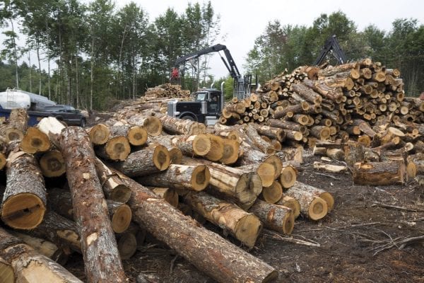 The Adirondack Explorer toured part of the Santa Clara Tract in the northern Adirondacks with the Molpus Woodlands Tract in early August. Above are photos from that trip.