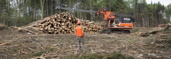 The Adirondack Explorer toured part of the Santa Clara Tract in the northern Adirondacks with the Molpus Woodlands Tract in early August. Above are photos from that trip.