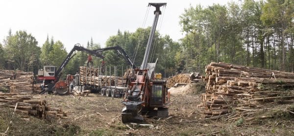 The Adirondack Explorer toured part of the Santa Clara Tract in the northern Adirondacks with the Molpus Woodlands Tract in early August. Above are photos from that trip.