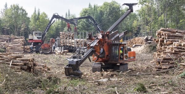The Adirondack Explorer toured part of the Santa Clara Tract in the northern Adirondacks with the Molpus Woodlands Tract in early August. Above are photos from that trip.