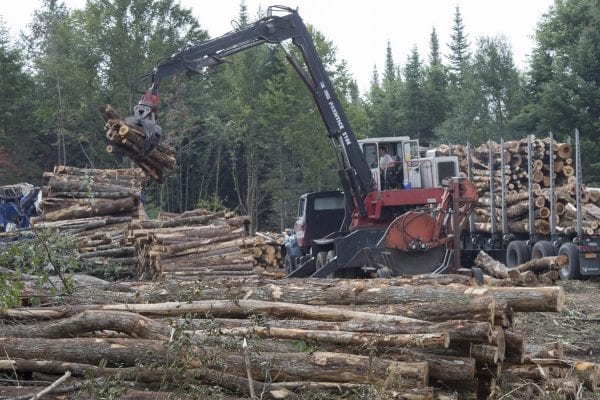 The Adirondack Explorer toured part of the Santa Clara Tract in the northern Adirondacks with the Molpus Woodlands Tract in early August. Above are photos from that trip.