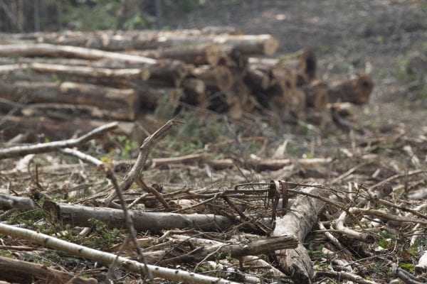 Legislation introduced to shrink threshold for APA clearcut permits