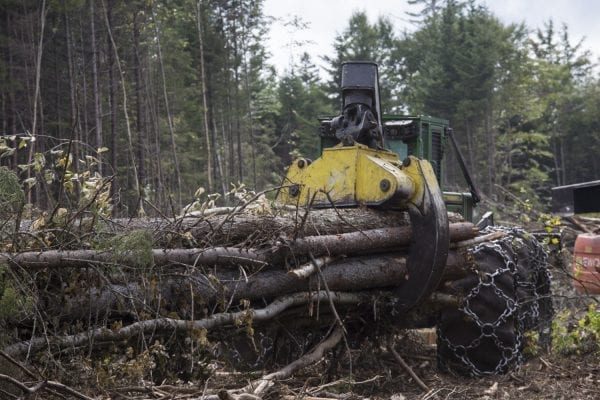The Adirondack Explorer toured part of the Santa Clara Tract in the northern Adirondacks with the Molpus Woodlands Tract in early August. Above are photos from that trip.