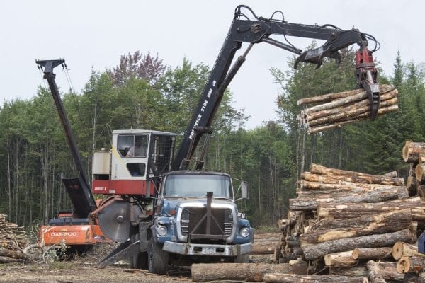 The Adirondack Explorer toured part of the Santa Clara Tract in the northern Adirondacks with the Molpus Woodlands Tract in early August. Above are photos from that trip.
