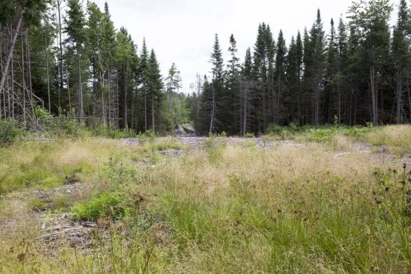 The Adirondack Explorer toured part of the Santa Clara Tract in the northern Adirondacks with the Molpus Woodlands Tract in early August. Above are photos from that trip.