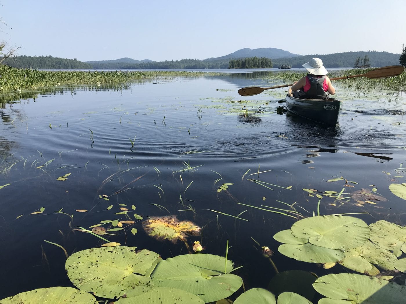 Weller Pond