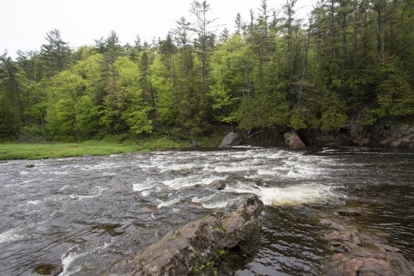 The gorge upstream of the Rome Dam on the West Branch of the Ausable River in May 2017. Photo by Mike Lynch