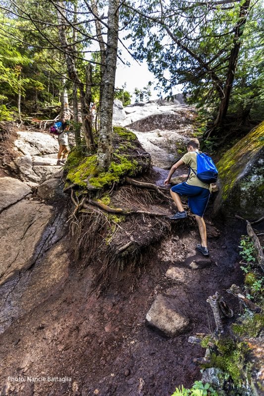 Assessment finds High Peaks trails are in poor shape - Adirondack Explorer