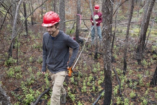 A fire burned more than 500 acres of the Altona Flat Rock forest in July, providing the perfect setting for SUNY Plattsburgh students studying forest ecology. Photo by Mike Lynch