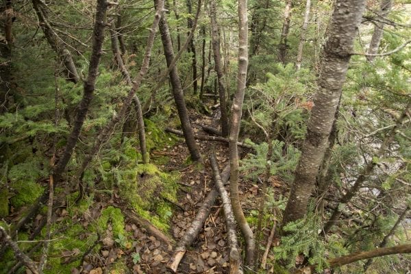 Scenes from a hike to Algonquin Peak from Adirondack Loj in late September. Photo by Mike Lynch