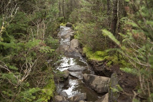 Scenes from a hike to Algonquin Peak from Adirondack Loj in late September. Photo by Mike Lynch