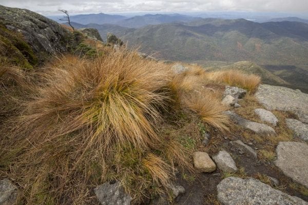 Scenes from a hike to Algonquin Peak from Adirondack Loj in late September. Photo by Mike Lynch