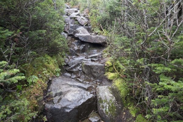 Scenes from a hike to Algonquin Peak from Adirondack Loj in late September. Photo by Mike Lynch