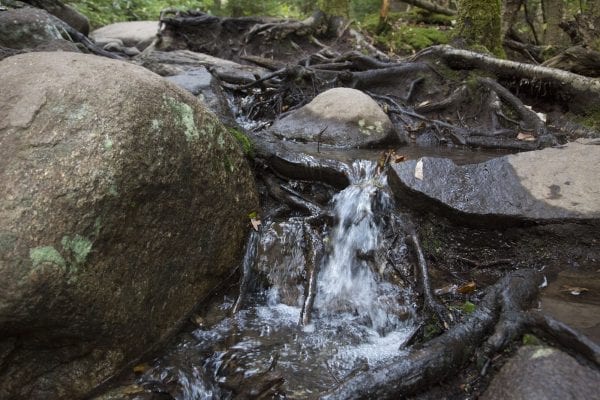 Scenes from a hike to Algonquin Peak from Adirondack Loj in late September. Photo by Mike Lynch