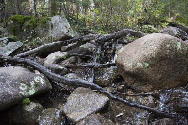 Scenes from a hike to Algonquin Peak from Adirondack Loj in late September. Photo by Mike Lynch