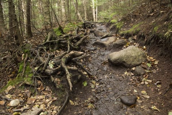 Scenes from a hike to Algonquin Peak from Adirondack Loj in late September. Photo by Mike Lynch