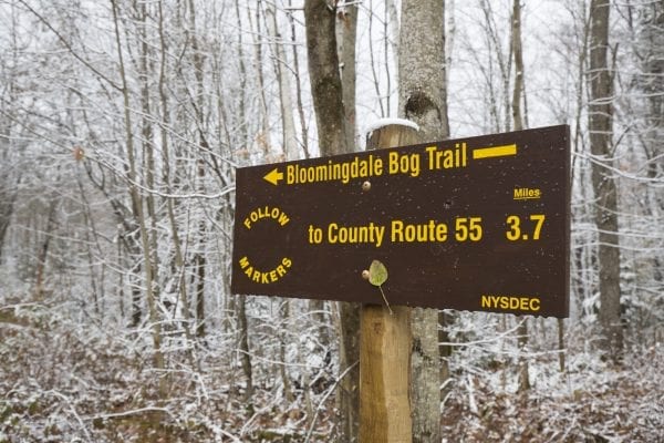 The northern Adirondacks have received several snowfalls this month, including on Tuesday. The Bloomingdale Bog near Saranac Lake was especially scenic this day. Photo by Mike Lynch