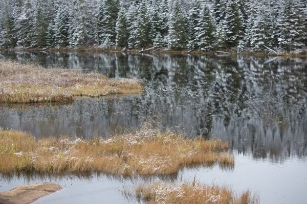 The northern Adirondacks have received several snowfalls this month, including on Tuesday. The Bloomingdale Bog near Saranac Lake was especially scenic this day. Photo by Mike Lynch