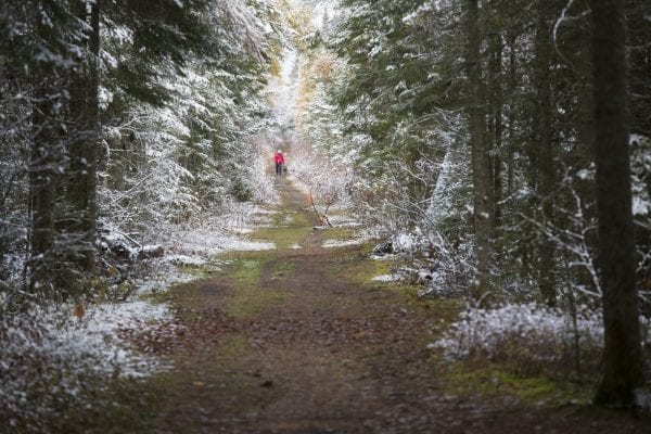 The northern Adirondacks have received several snowfalls this month, including on Tuesday. The Bloomingdale Bog near Saranac Lake was especially scenic this day. Photo by Mike Lynch