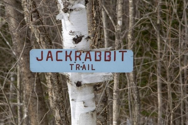 Sign for the Jackrabbit Trail in Keene. Photo by Mike Lynch