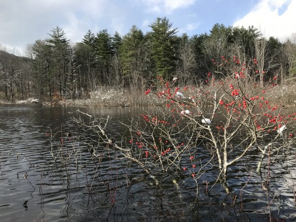 Adirondack Park board approves Fulton County lake development