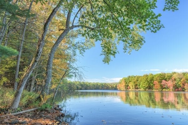 Open Space Institute buys land in Adirondack foothills