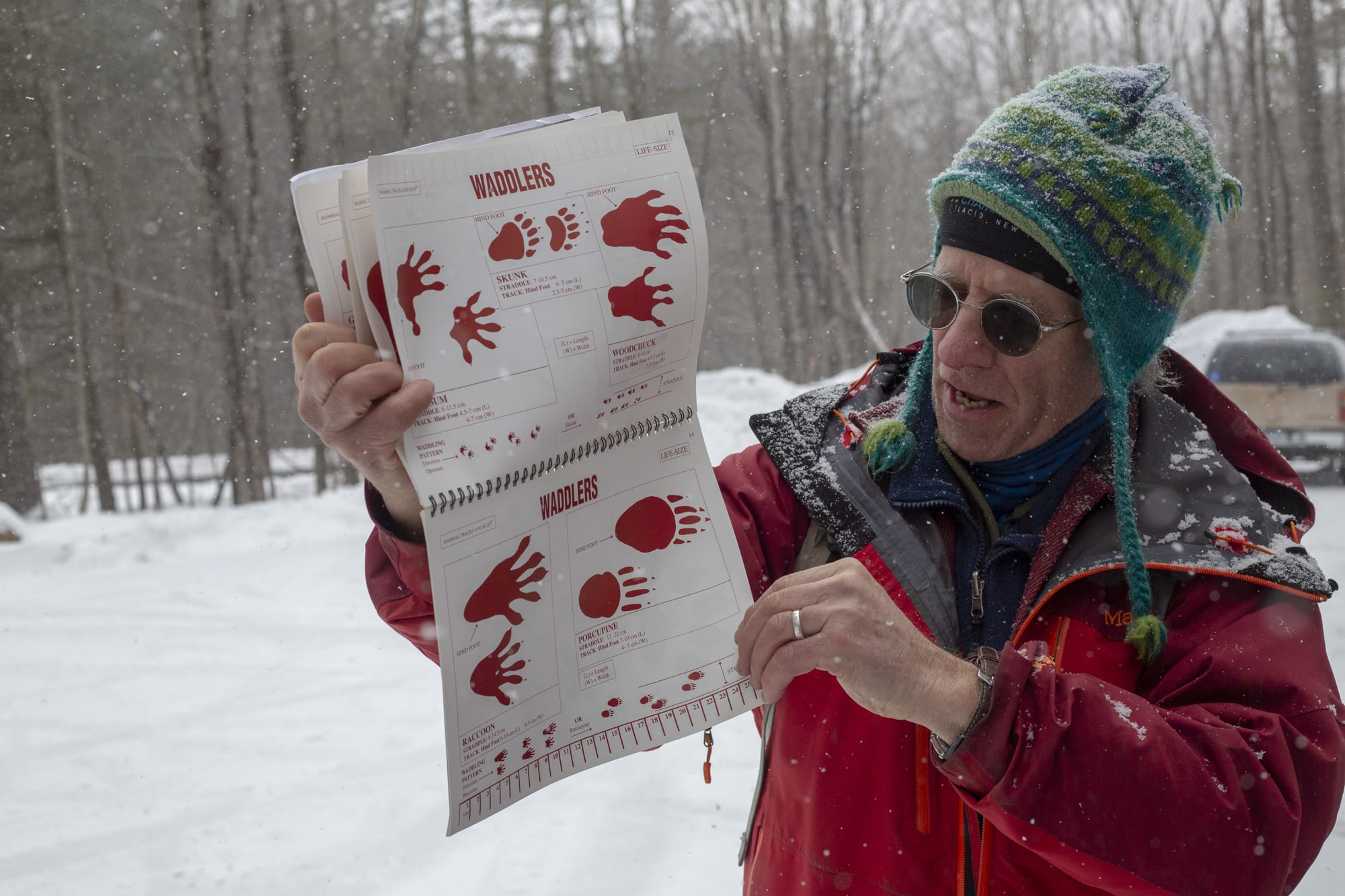 Adirondack Animal Track Chart - Old Forge Hardware