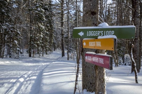 Paul Smith's College VIC ski trails