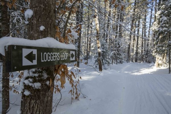 Loggers Loop is slated for upgrades. Photo by Mike Lynch