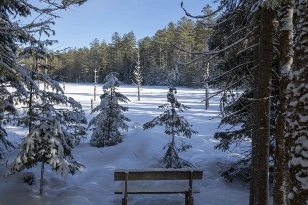 Paul Smith's College ski trails