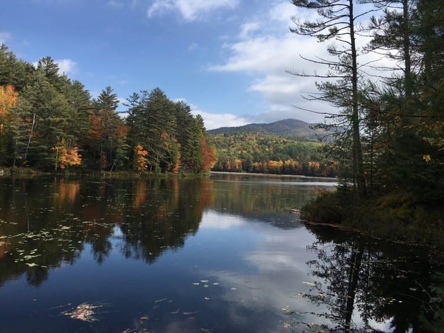 Hammond Pond