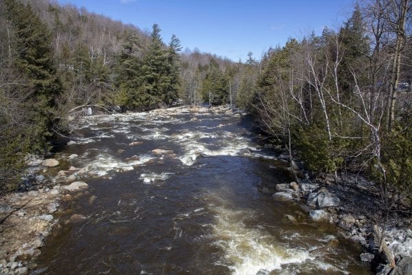 Rapids on the West Branch of the Ausable River near Whiteface Mountain. Photo by Mike Lynch