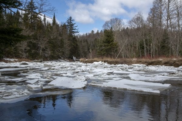 Ice builds up on the West Branch of the Ausable River April 1. Photo by Mike Lynch